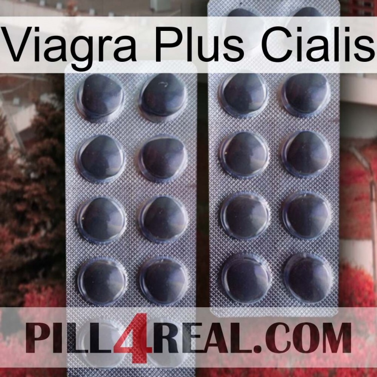 Viagra Plus Cialis 31